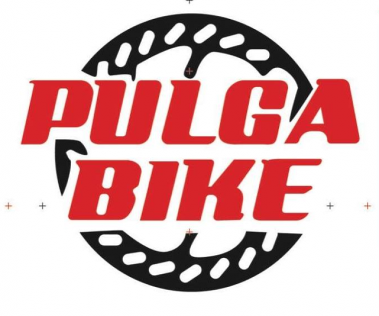 Pulga Bike picture